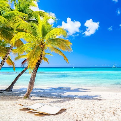 Travel Agency Auchan Velizy, Agence de Voyage à Vélizy-Villacoublay