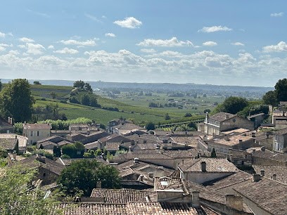 Private Wine Tours Bordeaux, Agence de Voyage à Villenave-d'Ornon