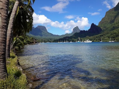 TUI STORE, Agence de Voyage à Serris