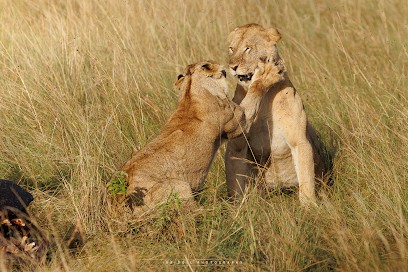 Kenya Authentique, Agence de Voyage à Obernai