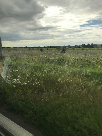 LE GOÛT DES AUTRES, Agence de Voyage à Châteauneuf-du-Pape