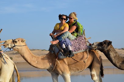 Lache les freins, Agence de Voyage à Vaulx-en-Velin