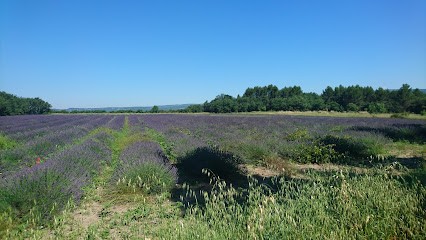 Bike Session - Randonnées VTT Et E-MTB, Guide Vélo En Provence., Agence de Voyage à Roussillon