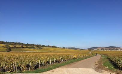 Active Tours, Agence de Voyage à Beaune