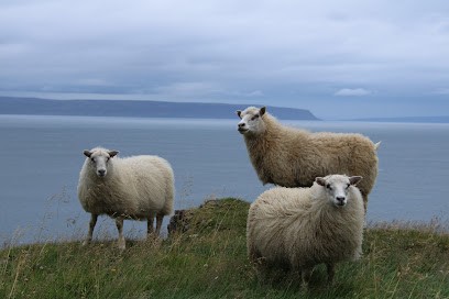 ENLAKORO Voyages Singuliers., Agence de Voyage à Tinténiac