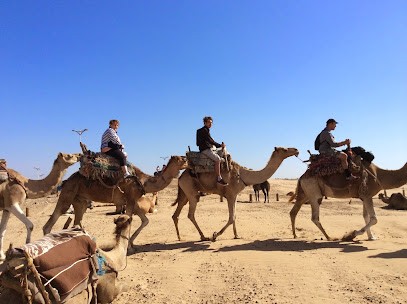 Ailleurs et Autrement, Agence de Voyage à Vaulx-en-Velin