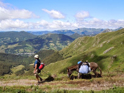 BATIFOL'ANES, Agence de Voyage à Sansac-de-Marmiesse