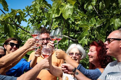Vin En Vacances Carcassonne, Agence de Voyage à Villeneuve-Minervois