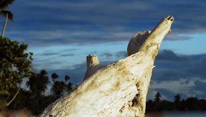 Voyag&Vous, Agence de Voyage à Talence