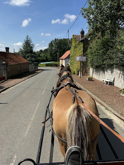 Calèche En Somme, Agence de Voyage à Saint-Quentin-en-Tourmont