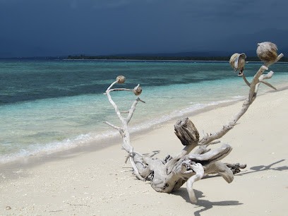 Tan's Travel Club, Agence de Voyage à Malves-en-Minervois