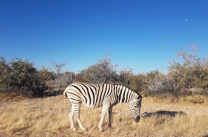 Agence de voyages FRAM Mâcon, Agence de Voyage à Mâcon