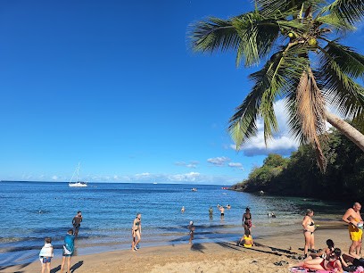 Visages Du Monde, Agence de Voyage à Saintes