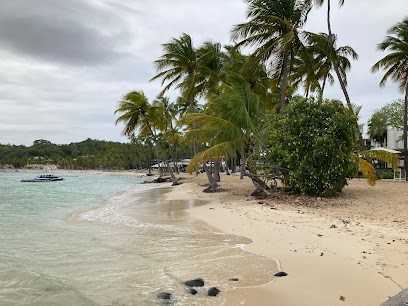 Agence Havas Voyages, Agence de Voyage à Thiers