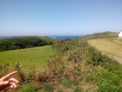 Le Petit Train De Bréhat, Agence de Voyage à Ploubazlanec