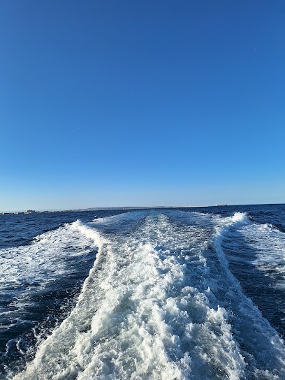 Croisières Maritime Port La Nouvelle: Sortie Dauphins, Littoral, Soirées Coucher De Soleil, Agence de Voyage à Port-la-Nouvelle