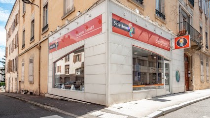 Selectour Voyages Girardot, Agence de Voyage à Mâcon