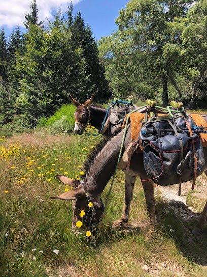 Rando-Ane, Agence de Voyage à Alleyrac