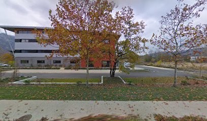 VOYAGEURS DES ALPES, Agence de Voyage à Arbin