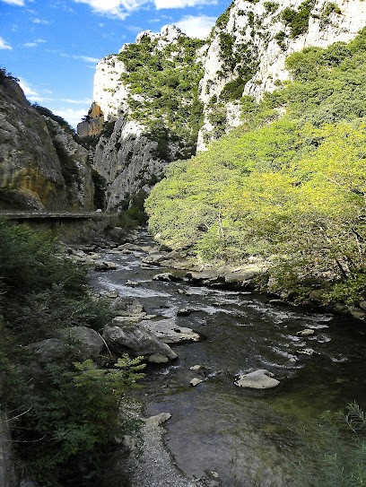 Cathar Tours, Agence de Voyage à Quillan