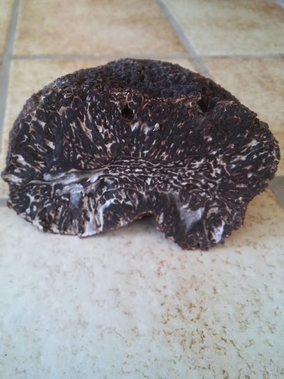 TRUFFES ET SAFRAN DE TOURAINE, Agence de Voyage à Sainte-Maure-de-Touraine