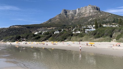 Voyage En Afrique Du Sud, Agence de Voyage à Phalempin