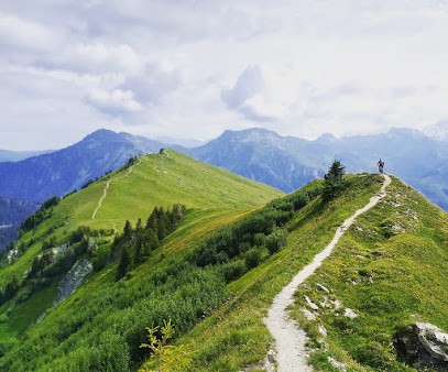 SECRET TRAILS MTB, Agence de Voyage à Peisey-Nancroix