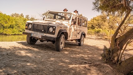 Le Gitan Safari Photo Du Delta, Agence de Voyage à Saintes-Maries-de-la-Mer