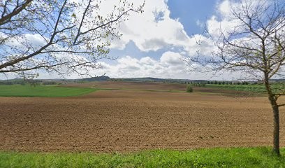 Marjorie Guide Interprete Accompagnatrice, Agence de Voyage à Saint-Paul-Cap-de-Joux