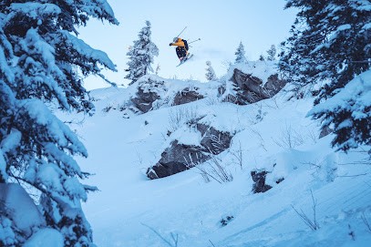 Planète Freeride, Agence de Voyage à Pibrac