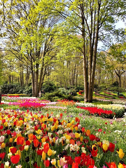 Prêt à Partir, Agence de Voyage à Sarreguemines