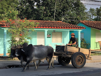 Cuba Découverte, Agence De Voyage à l' Huisserie