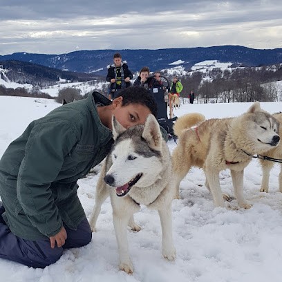 Djuringa Juniors, Agence de Voyage à Oullins
