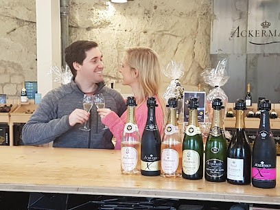 Loire Wine Tours, Agence de Voyage à Saint-Macaire-du-Bois