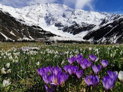 Mont Blanc Hiking, Agence de Voyage à Passy