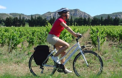 Walk Inn - Walking & Cycling Holidays, Agence de Voyage à Villeneuve-lès-Avignon