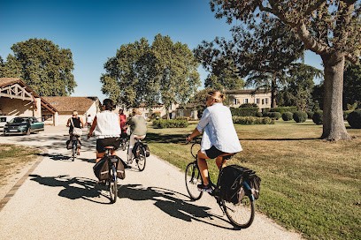 Rustic Vines Tours, Agence de Voyage à Saint-Émilion