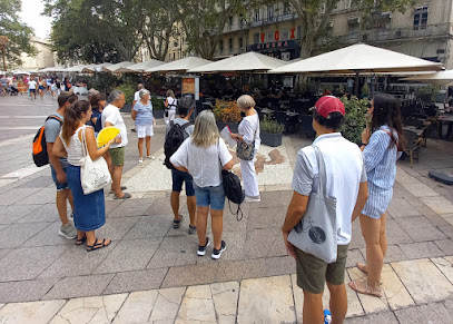 Avignon Tours Agence De Voyage à Avignon