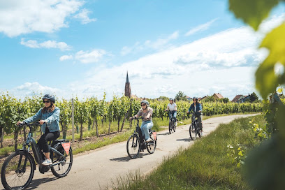 Detour Alsace Agence De Voyage à Sélestat