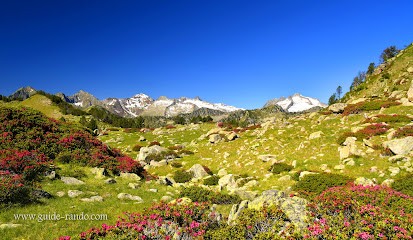 Guide Rando, Agence de Voyage à Montoulieu