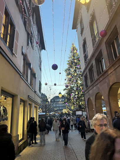 Free Tour Estrasburgo Navidad Agence De Voyage à Strasbourg
