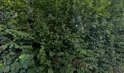 KAHUNA Organisation, Agence de Voyage à Avressieux