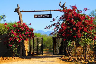 Montessuit Voyages, Agence de Voyage à Ville-la-Grand