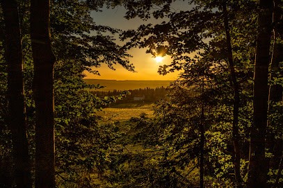 Sentiers Libres, Agence de Voyage à Longchaumois