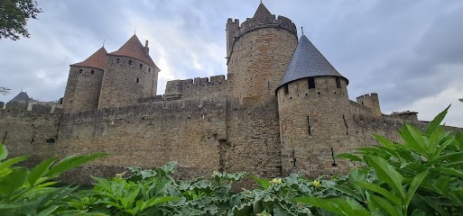 Cathar Castle Tours, Agence de Voyage à Saint-Ferriol