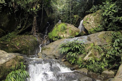 Soliderrance SAS, Agence de Voyage à Saint-Geniès-de-Fontedit