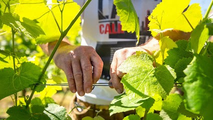 Séjours tout compris en Coeur Sud-Ouest, Agence de Voyage à Marciac
