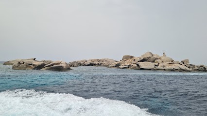 Corse Découverte, Agence de Voyage à Porto-Vecchio