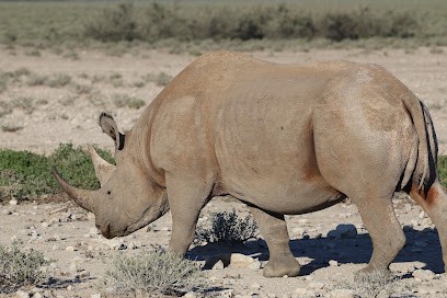 Voyages Nature D-DAY, Agence de Voyage à Émeringes
