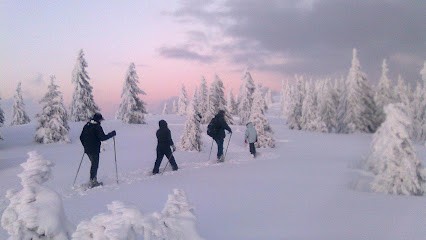 OXYGENE NATURE, Agence de Voyage à Stosswihr
